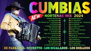 Cumbias Norteñas Mix 2024⚡De Paranda  Secretto  Los Igualados ⚡Norteñas Para Bailar [upl. by Atalanti521]