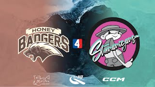 Honey Badgers VS Shenanigans Div 4  24th July  IceHQ Beer League ice hockey [upl. by Cirederf529]