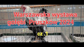 Wystawa gołębi Pruszków [upl. by Nilyad]