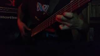 Wynonas big brown beaver Bass cover [upl. by Trudey]