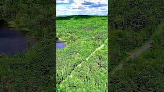 Land In Maine Property Acreage  ME Real Estate [upl. by Aihsyn]