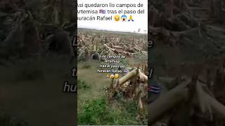 Artemisa después del paso de huracán debastada🙏😱😥 [upl. by Barnett]