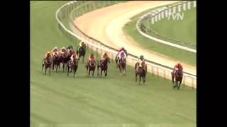 Patinack Farm Blue Diamond Stakes  hype reel [upl. by Mccallion712]