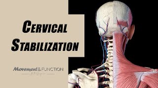 Cervical Spine Stabilization Exercises  Neck Strengthening for Spondylosis Instability Weakness [upl. by Nies]