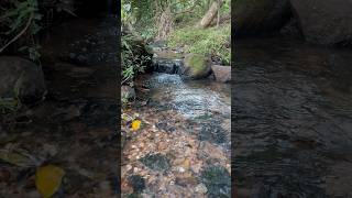 Arroyito en Cerro Verá Acahay  Paraguari Paraguay [upl. by Javler]