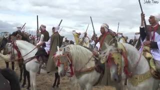 Salon du Cheval Tiaret 2016 [upl. by Caitrin]