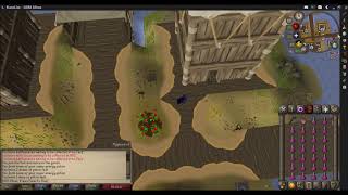 OSRS Stealing Artifacts 100k xphr 2020 How to under 5 minutes [upl. by Rand693]