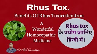 Rhus tox 30  Homeopathic medicine usesRhus Toxicodendron 200 uses in hindiUses of Rhus tox 1M [upl. by Adolf]