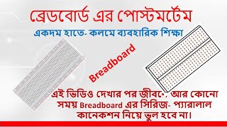 Complete guide for beginners to using a breadboardproject boardনতুনদের জন্য ব্রেড বোর্ড শিক্ষা। [upl. by Leyes]