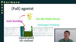 Cellular receptors part 3 agonists inverse agonists antagonists [upl. by Eiznekam]