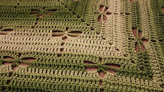 Part 1  TopDown Dragonfly Shawl  Crochet Tutorial [upl. by Nabalas]