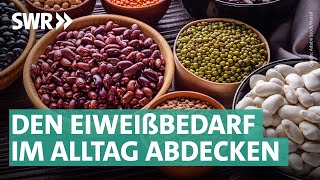 Eiweißbombe Bohnen Kreative Rezepte zum Nachkochen  Marktcheck SWR [upl. by Abijah106]