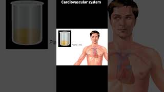 Cardiovascular system nursing medicine cardiology nursingexam [upl. by Aekal509]