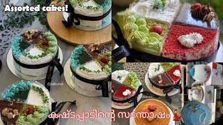 Assorted cake ഉണ്ടാക്കുമ്പോൾ ശ്രദ്ധിക്കേണ്ടതും English homeലേ കാഴ്ചകളും [upl. by Yssenhguahs]