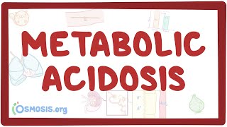 Metabolic acidosis  causes symptoms diagnosis treatment pathology [upl. by Herzig331]