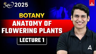 ANATOMY OF FLOWERING PLANTS CLASS 11  COMPLETE BIOLOGY REVISION  NEET2025 PREPARATION [upl. by Amaleta]