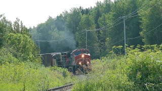 CN 556SB avec CN 3301 a ChambordQc 14 juillet 2024 [upl. by Aldin50]