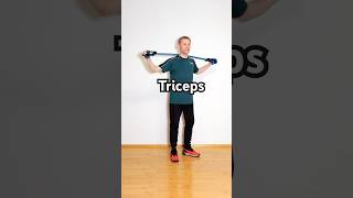 Triceps Exercise at Home  Chest Expander [upl. by Nolham888]