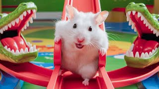 🛑 Hamster Maze with Colorful Traps 🐹 Best Compilation OF Mr Hamster 75 [upl. by Crystie]