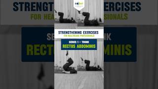 3 Effective ways of strengthening Rectus abdominis muscle  Exercises for Healthcare professionals [upl. by Borroff]