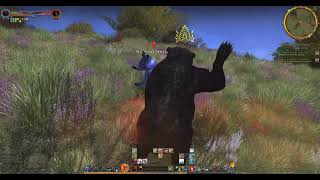 Lotro legendary server 64bit Beorning Pt 4 [upl. by Sirroned475]