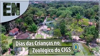 Dia das Crianças no Zoológico de Manaus [upl. by Enileqcaj]