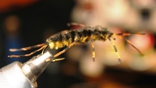 How to tie a Two Tone Golden Stonefly Nymph [upl. by Sergius]