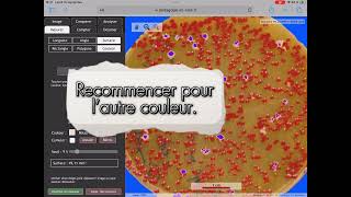 Utiliser MESURIM2 en ligne pour mesurer une surface colorée [upl. by Enerehs]