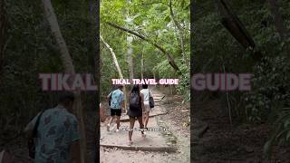 Tikal Travel Guide How to see the park without a tour guide [upl. by Edak]