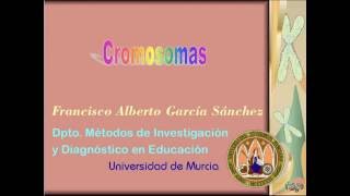 cromosomas [upl. by Siddra2]