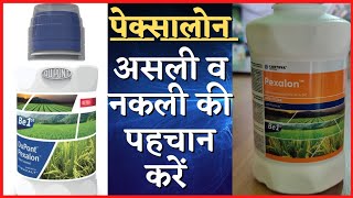 DuPont PEXalon Uses in Hindi Rice Brown Plant Hopper Insecticide to Control [upl. by Pomfret170]