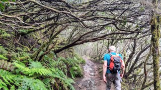 Tenerife 4K 🇪🇦  Circural Afur  Taganana Playa de Tamadiste [upl. by Irik]