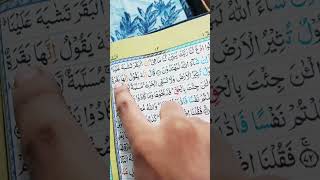 Masaallha 🤲🕋👍 quran please 🕋🥺🕋🥺 please subscribe my channel 🙏❤️🥰 [upl. by Eldred]