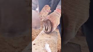 Why Horse Hoof Trimming [upl. by Greenberg]