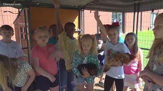 School of the Week The Hubbard Hatchery chicken coop is raising chickens lettuce and young farmers [upl. by Sassan]