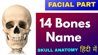 14 Facial bones Name anatomy  Mandible Maxilla Lacrimal Zygomatic Vomer Nasal concha [upl. by Ardnuaed645]