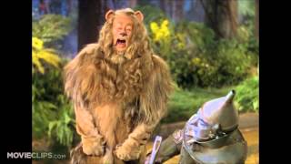 Cowardly Lion Growl Compilation [upl. by Arun]