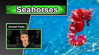 A human baby can swim better  10 COOL SEAHORSE FACTS [upl. by Kacey729]