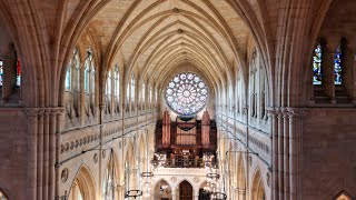 Arundel Cathedral Interior [upl. by Vizza]