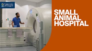 UofGSBOHVM Student Testimonials  Small Animal Hospital [upl. by Klinger]