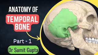 Temporal bone Part 1  Side determination features landmarks and Osteology [upl. by Selbbep245]