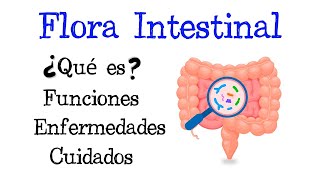 🦠 ¿Qué es la Flora Intestinal 🦠 Funciones 💥 Enfermedades 💥 Cuidados 🧫 Fácil y Rápido  BIOLOGÍA [upl. by Helene]