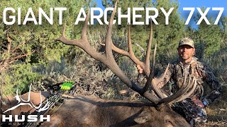 Wyoming GIANT BULL ELK on Public Land  Archery 7x7 [upl. by Peti]