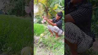 Girl Tries Kasippu කසිප්පු for the First Time 🍹😂 SriLanka Kasippu Shorts [upl. by Elwin]