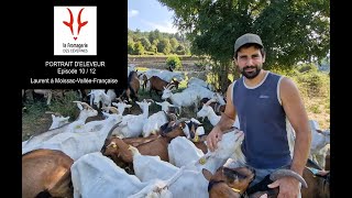 La Fromagerie des Cévennes  Portrait déleveur  Épisode 1012 [upl. by Nhguav955]