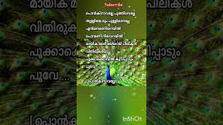 Kalyana kachery youtubeshortsmalayalamsonglyrics youtubesong likeloveviewsyoutubevideos [upl. by Wadleigh938]