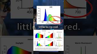 Artificial light is a HUGE PROBLEM Part 1 [upl. by Namrak]