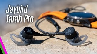 Jaybird Tarah Pro Premium Sport Headphones Review vs X4 [upl. by Aikit]