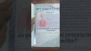 Sistema respiratoriolettering snap letrabonita [upl. by Mohun]