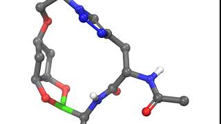 Boronic esterlinked macrocycles as warheads against serine proteases [upl. by Calabrese]